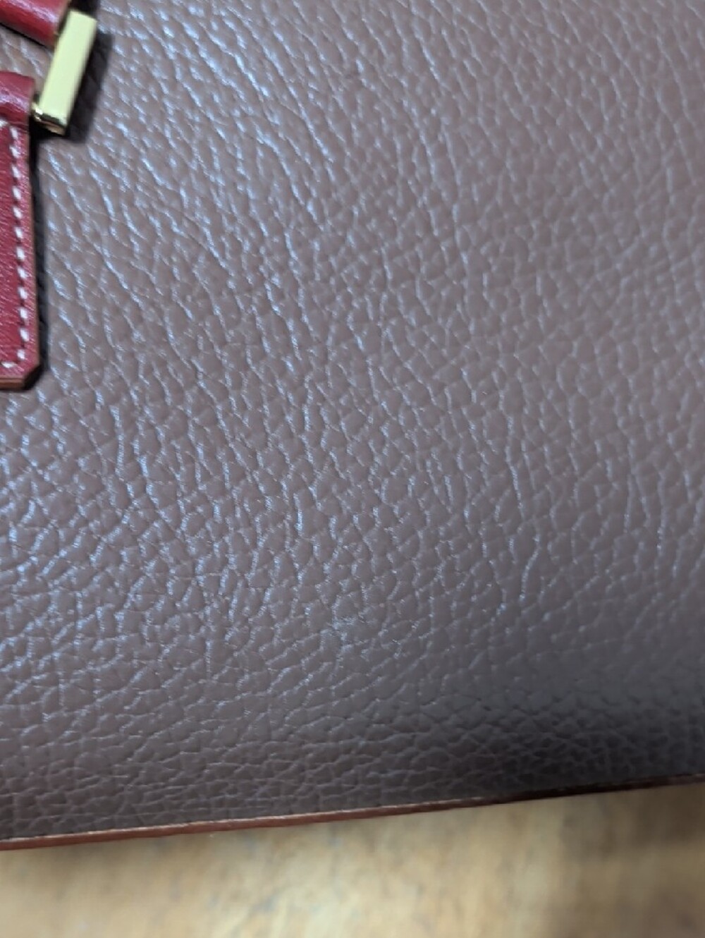 Dooney & Bourke ???? Brown Satchel with Chocolate Brown Trim and Gold Hardware - Picture 13 of 16